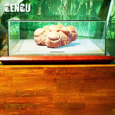 China Wholesale Dinosaur Museum Dinosaur Fossil Fossil Egg for sale