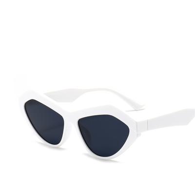 China 2021 Cat Eye Designer Sunglasses Retro Fashion White Triangle Shaped Sunglasses for sale