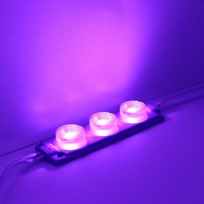 China AlGaInP color purple 12V injection led module 24V, smd 3030 led module 3w, tank landing ship IP68 led module Korea for sale