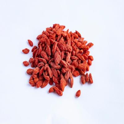 China High quality wolfberry tea Chinese big fruit dry wolfberry cooking Goji berries wholesale for sale