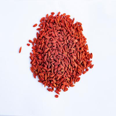 China Dried Planting Low Quality Chinese Red Wolfberry Goji For Liver With Goji Berry Tea for sale