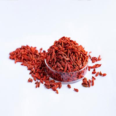 China Gluten Free Dairyfree Superfoods Dried Fruits Certified Organic Chinese Goji Berry for sale