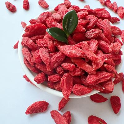 China Wholesale and high quality dry goji now in good health care food goji berry for sale