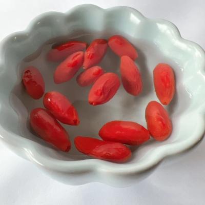 China Hot Selling Natural Dry Loose Goji Berries Dried Bulk Goji Berry Dried Goji Berry High Quality for sale