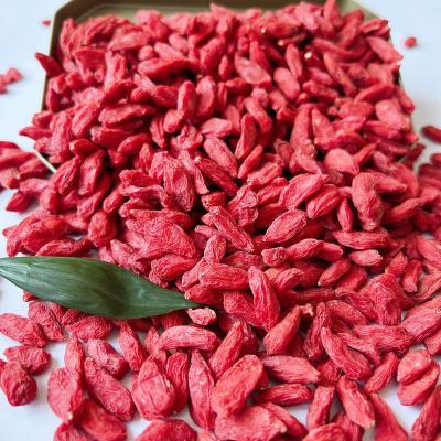 China Ningxia Bulk Goji Berries Dry Wholesale Red Goji Berry Gift Packaging for sale