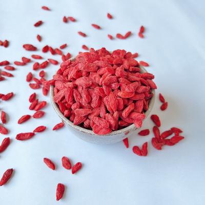 China Dry Goji Berry Bulk Dried Goji Berry For Sale Goji Berry Gift Packing for sale