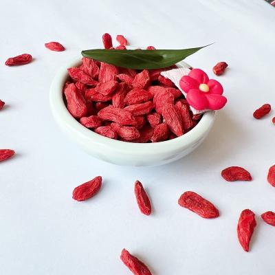 China Wholesale wolfberry big size goji berry new culture helthy dry food for sale