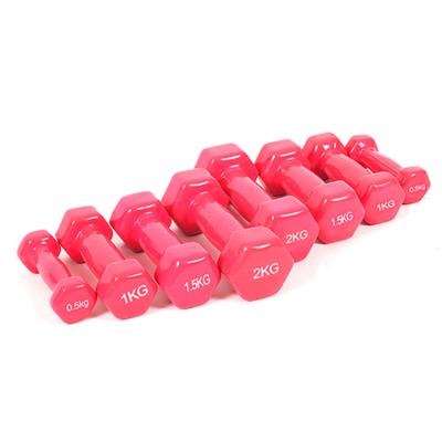 China Bodybuilding Fitness Weightlifting Dumbbell Dumbbell Gym Equipment Vinyl Home Neoprene Dumbbel for sale