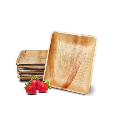 China Disposable Disposable Bamboo Disposable Disposable Dishes/Square 25*25cm Bulk Opp Bag/in Bulk 25*25cm Dinner Plate Disposable Bamboo Hot Design Eco-Friendly Shrink Wrap for sale