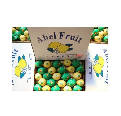 China Wholesale Healthy Nutritious Fresh Citrus Lemon Eureka Yellow Lemon Fresh Price Healthy Nutritious Lemon for sale