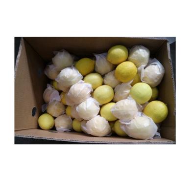 China Eureka Healthy Nutritious Fresh Lemon Wholesale Healthy Nutritious Yellow Fresh Lemons for sale