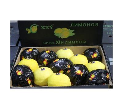 China Factory fresh healthy nutritious fresh citrus fruit manufacturing healthy nutritious fresh citrus fruit lemon yellow for sale