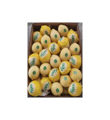 China Wholesale Citrus Yellow Lemons Hot Sale Healthy Nutritious Fresh High Quality Eureka Healthy Nutritious Fresh Lemons for sale