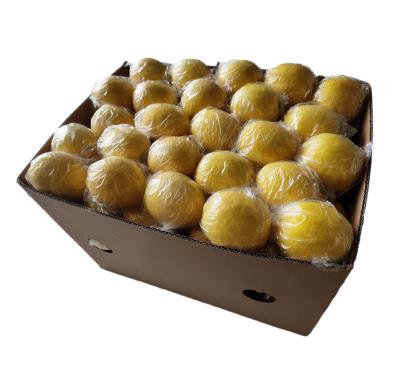 China Eureka healthy nutritious professional fresh lemon production fresh fruit healthy nutritious fresh lime for sale