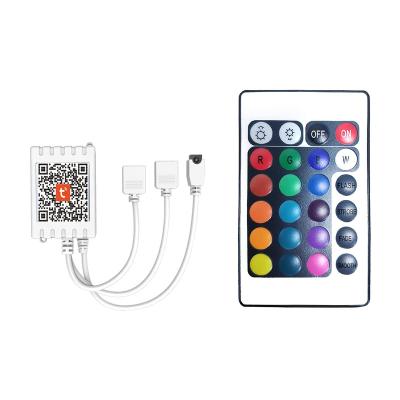 China Mini Keyboard 44 Keys RGB 4 Pins Output LED Strip Lights Controller Tuya Blue Smart IR Tooth Remote Control for sale