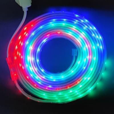 China Customizable Strip LED Flex Rope Lights 2835 220v 6 Colors Residential High Voltage 32.8ft Length 10m for sale