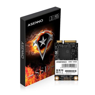 China High Quality Mini SATA 120GB 240GB 480GB 1T Internal Hard Disk From SSD ASENNO SSD Factory Used For Computer for sale