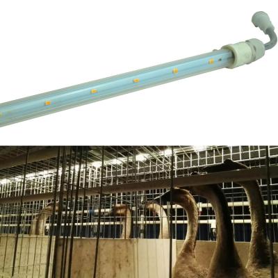 China Safe Farms 48Vdc T5 T6 6W 9W LED Poultry Tube Light For Commercial Indoor Cage Layer Broiler Chicken for sale