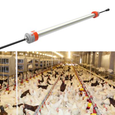 China Poultry Dimmable T8 LED Tube Light IP67 Waterproof IP 67 1.2m 1200mm 1.8m 18W For Poultry Farm for sale