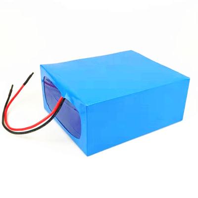 China 20Ah 24 Volt Li Ion Battery Pack Te koop