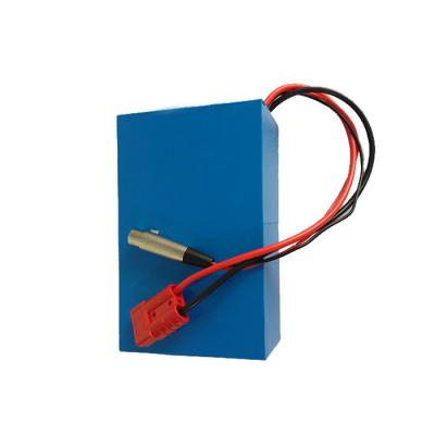 Cina Cv di Ion Battery Pack cc del litio di MSDS 20Ah 24V ricaricabile in vendita