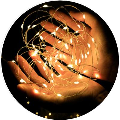 China Multi Sales Indoor Copper Wire Decoration Plant Glowing Flower Led Fairy String Lights For Holiday Light Decoration for sale