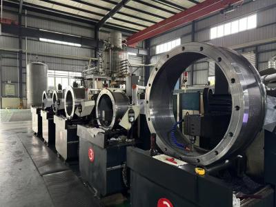 China Customize Big Ring Die For MUZL1610 Pellet Mill With Two Release Hole for sale