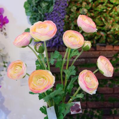 China Guangzhou Decorative Artificial Camellia Flower And Camellia Seed for all occasion for sale