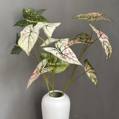 China Natural Gorgeous Realistic Real Touch Greenery Artificial Caladium Bicolor Plant For Home Office Decoration for sale