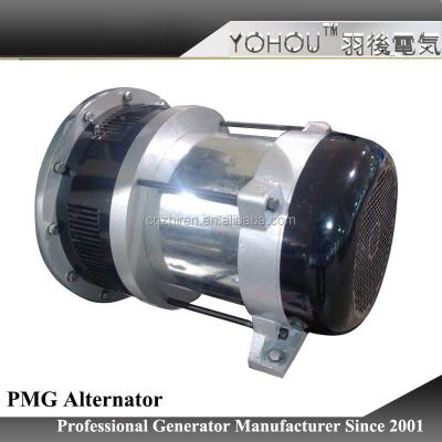 China For Permanent Magnet Generator Alternator 230v 50hz Single Phase For Gasoline Generator for sale