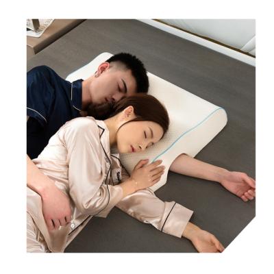 China Anti Static Torque No Pressure Hand Built In Anti Torque Helps Sleep Pillow Memory Foam for sale