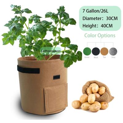 China Reusable Cloth Grow Pot Green Color 5 / 7 / 10 Gallon Potato Grow Bag for sale