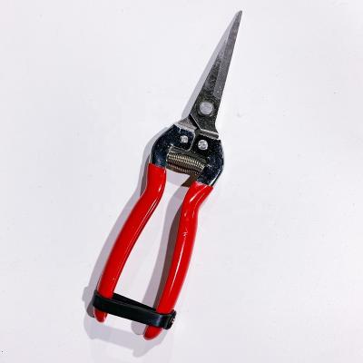 China Anti-Slip Garden Hydroponic Scissors Stainless Steel Cutter Blade Greenhouse Handle Pruner Hand Pruner Gardening Shears Small for sale