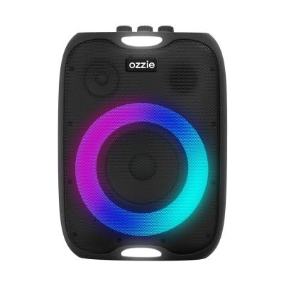 China 4Ω Impedance Outdoor Party Speaker With USB Disk Function And Powerbank Compatibility for sale