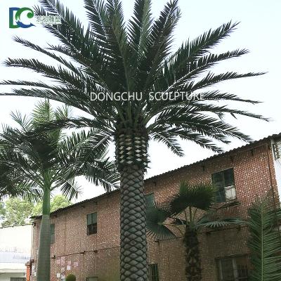 China All Used Fiberglass Palm Cheap Plastic Artificial Palm Tree For Decoration for sale