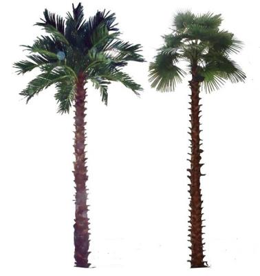 China SJP41 eco-friendly outdoor decorative artificial palm tree, plastic palm leaves with UV protected for sale