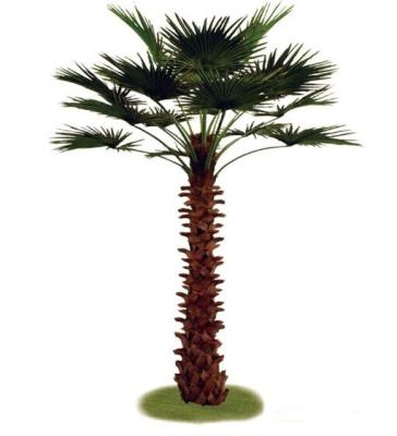 China Minimalist Y6 Chinese Fan Artificial Palm Tree, Plastic Simulation Tree Plant Palm Tree For Outdoor Decoration for sale