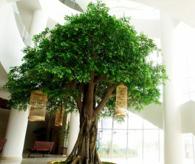 China LXY081903 Large Fiberglass Trees Banyan Tree Outdoor Artificial Plastic Foliage Plants Cheap Artificial Tree for sale