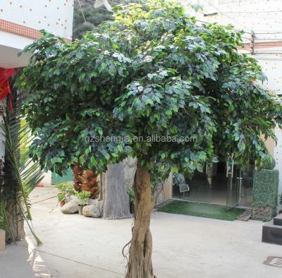 China eco-friendly artificial artificial ficus natural tree goloden tree ficus banyan tree in factory price for sale