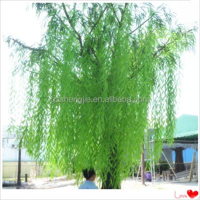 China SJM090594 Guangzhou Wedding Types Ornamental Plants Garden Decoration Artificial Willow Tree Plant for sale