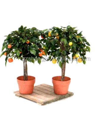 China Fake mini orange bonsai from real touch, fake fruit trees for sale for sale