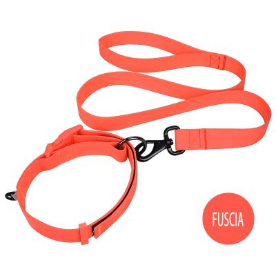 China Popular Colorful Hand Padded Dog Collar Free Leashes for sale