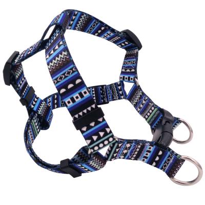 China Padded Dog Accessories 2021 Dog Leash Padded for sale