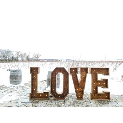 China Simple Wedding Large Decorative Plastic Waterproof Love Valentine Day Letters Led Alphabet Letter Lights Marquee Letters for sale