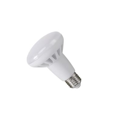 China China Residential Supplier 10 Watt Led Lamps 2020 High Quality Raw Material for sale