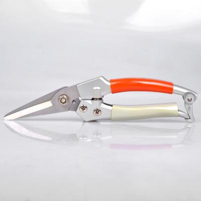 China Handle Asaki Garden Scissors Anti-Slip Pruner Ratchet Shear / Garden Shears for sale