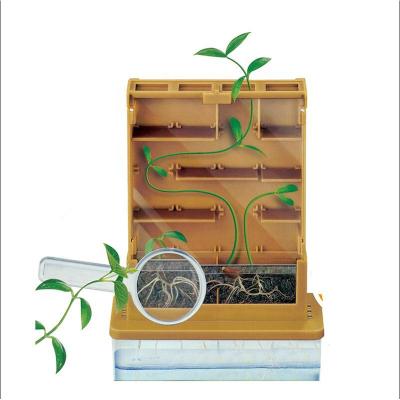 China Stem Education Kids Science Experiment Phototaxis Verification Growing Box Planting Kit For Kids Plant for sale