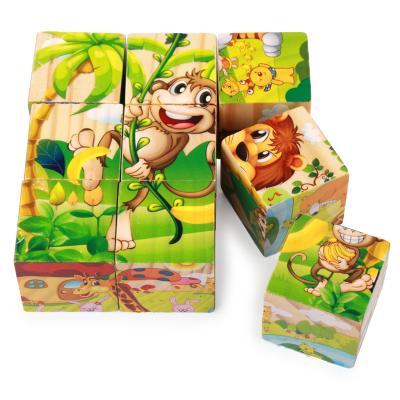 China Jigsaw Puzzles Wooden Toys 3D Cubes Puzzles Hexagons In Cartoon Toy 1 Image Nine Blocks for sale