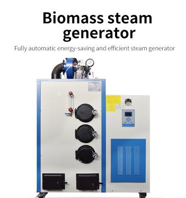 China Durable Biomass Steam Generator Low Noise Small Biomass Boiler for sale