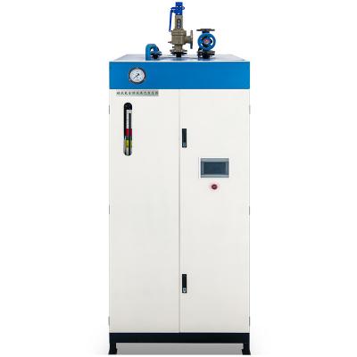 China 500 kg Gasdampfkessel 1,0 MPa sauberer Dampfgenerator Niedrige Stickstoffemissionen zu verkaufen